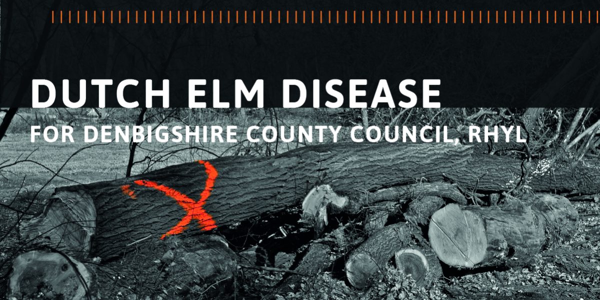 Detecting and Dealing with Dutch Elm Disease